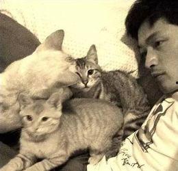 娱乐圈吃瓜猫是谁啊,揭秘神秘“吃瓜猫”的真实身份