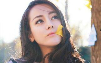 娱乐圈吃瓜明星小说推荐,瓜田里的璀璨星辰
