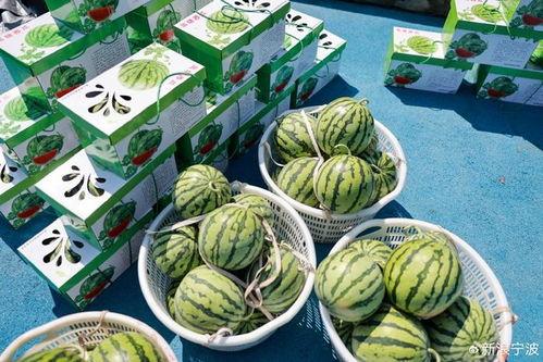 娱乐吃瓜甜,揭秘明星们的甜蜜生活