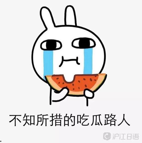 娱乐圈大事件吃瓜考试,揭秘明星幕后真相，吃瓜群众必看考试攻略