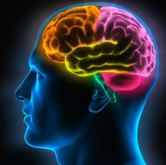 娱乐吃瓜酱锻炼大脑作品,脑力激荡的智慧盛宴