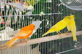 郑州公司吃瓜娱乐,吃瓜娱乐背后的职场生态探秘