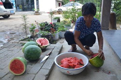 娱乐吃瓜酱花期,揭秘明星幕后故事