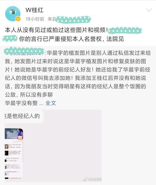 吃瓜系统娱乐圈后续,吃瓜系统后续揭秘