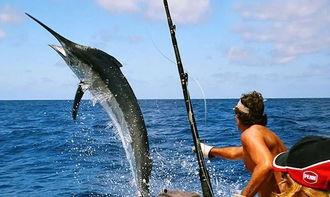 娱乐吃瓜钓鱼视频下载,一键下载收藏攻略