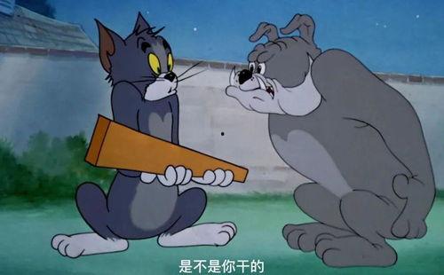 娱乐吃瓜酱杰瑞,娱乐吃瓜界的风云人物