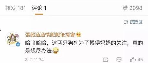 呱呱吃瓜娱乐播报,娱乐圈新鲜事一网打尽