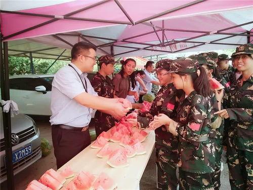 娱乐群吃瓜群众,吃瓜群众的热议焦点