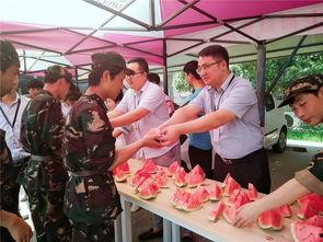 娱乐群吃瓜群众,吃瓜群众的热议焦点