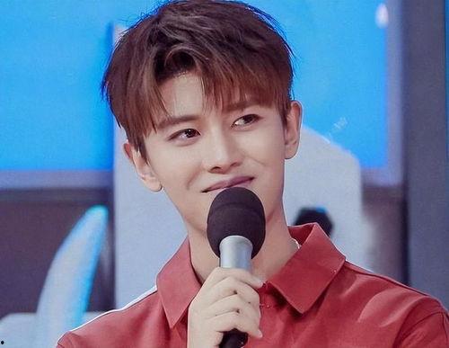 娱乐吃瓜酱任嘉伦,娱乐吃瓜酱的甜蜜瓜田之旅