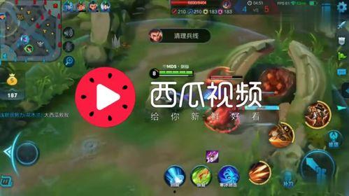 娱乐吃瓜视频背景音乐,揭秘娱乐吃瓜视频背后的音乐魅力