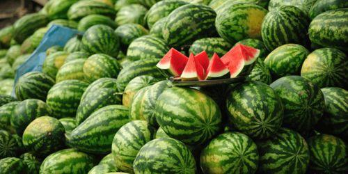 娱乐吃瓜作品有哪些名字,揭秘那些令人捧腹的吃瓜大事件